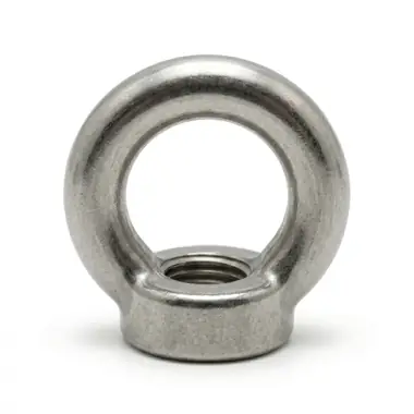 Eye Nut view 2