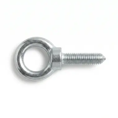 Lifting Eye Bolt view 2