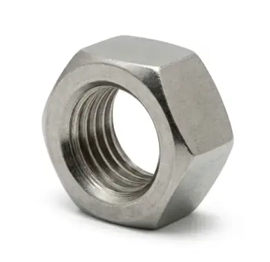 Ss Nut (Stainless Steel Nut)